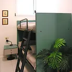 Pine Wood Daire