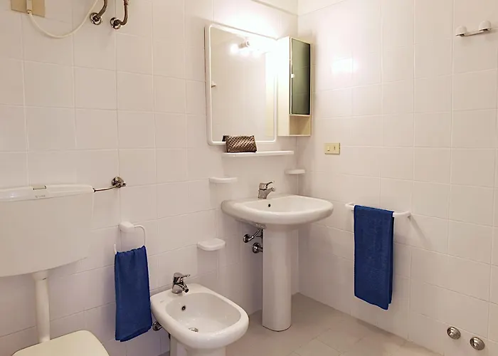 Pine Wood * 비비오네