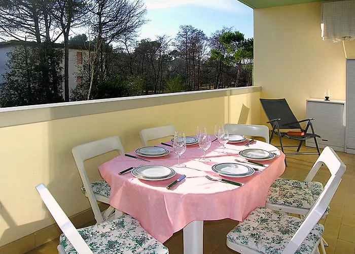 Pine Wood * 比比翁