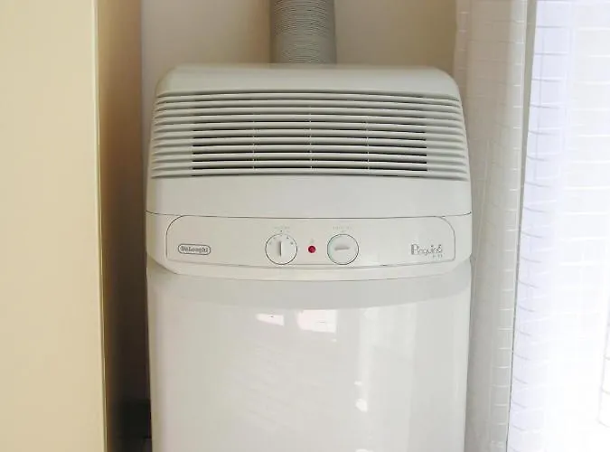 Pine Wood 비비오네